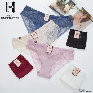Culotte Y11037